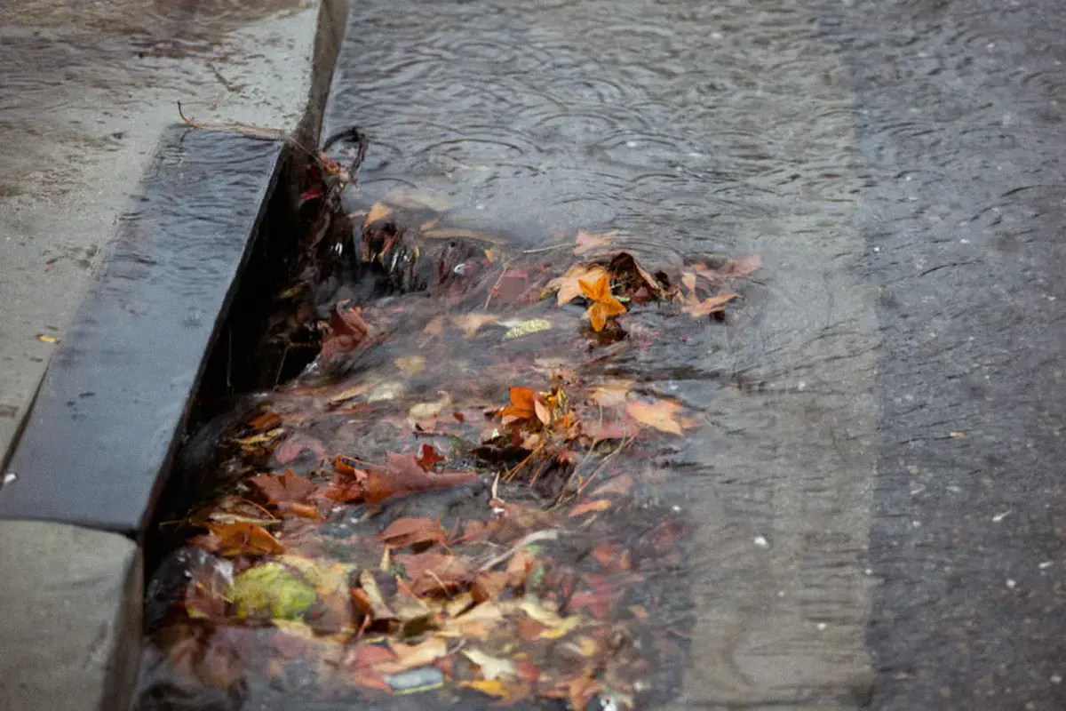 Rainwater flowing over a gutter packed with fallen leaves