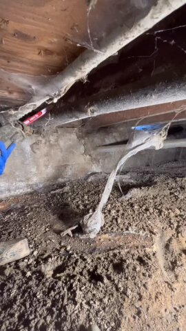 Running a new kitchen and laundry line drain!